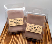 Brown County in the Fall Wax Melts